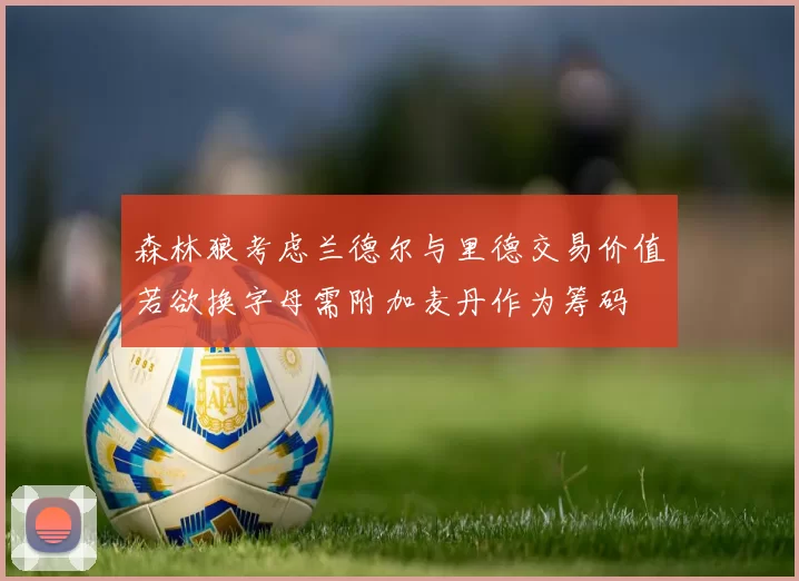 森林狼考虑兰德尔与里德交易价值若欲换字母需附加麦丹作为筹码