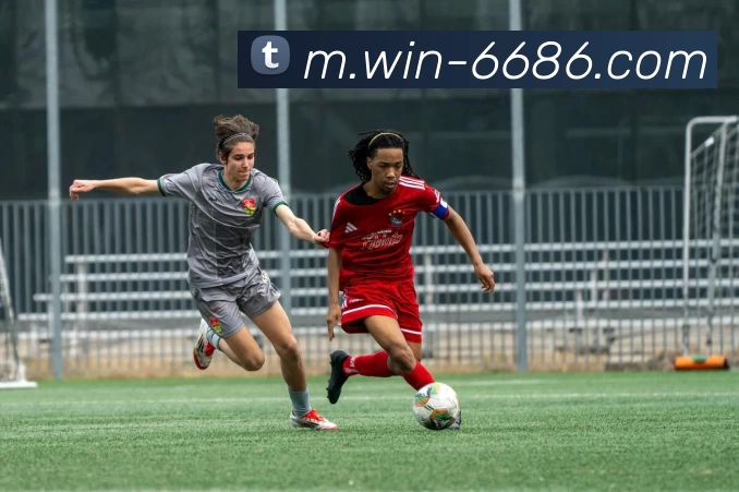 6686体育平台生态图